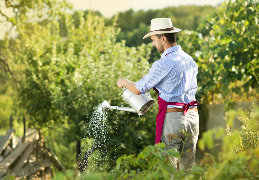 Naldo Dias Landscaping 2 Serviços de paisagismo e jardinagem em Marshfield, Hanover, Pembroke, Duxbury, Scituate, Norwell e região para transformar espaços externos. Do projeto à manutenção, nossa equipe de especialistas cria paisagens deslumbrantes que realçam a beleza e a funcionalidade de sua propriedade. Entre em contato conosco para uma experiência de paisagismo personalizada e sustentável.